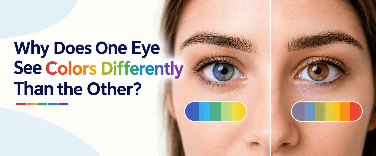 Why Does One Eye See Colors Differently Than the Other?
